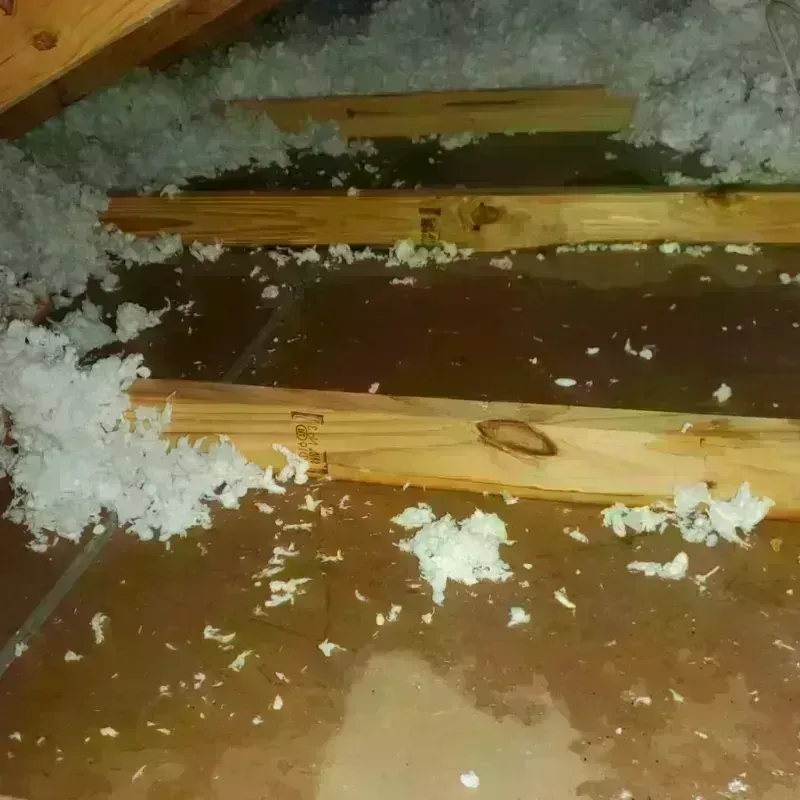 Attic Water Damage in Wheelersburg, OH