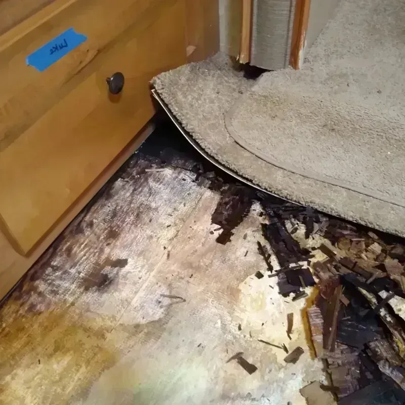 Wood Floor Water Damage in Wheelersburg, OH